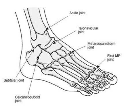 Foot-diagram-from-side-1